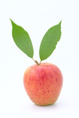 New Zealand apple on white background
