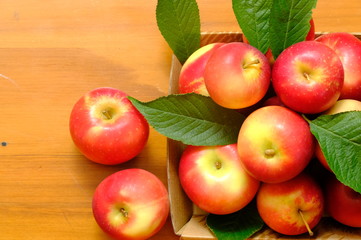 New Zealand apple on wooden background