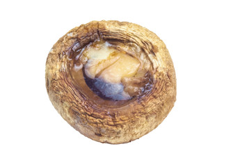 Baked mushroom stuffed with butter and cheese