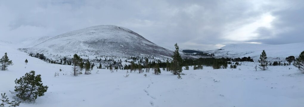 Central Cairngorms, Scotland, In Winter