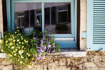Fenster mit blauem Rahmen und blauem Fensterladen und mit Blumenschmuck