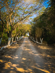 Entrada al cenote del eden