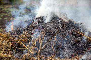 last year's burning of grass