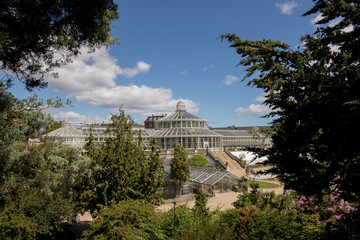 Greenhouse in the Botanical garden of Copenhagen