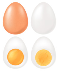 Set of boiled eggs. Vector illustration. 