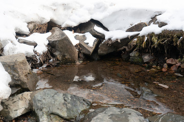 Open spring in the winter forest.