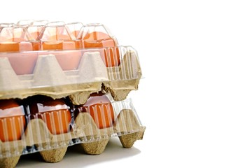 Eggs on carton paper trays with plastic covers isolate on white background.