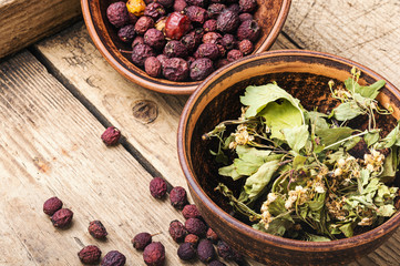 Haw in herbal medicine. © nikolaydonetsk