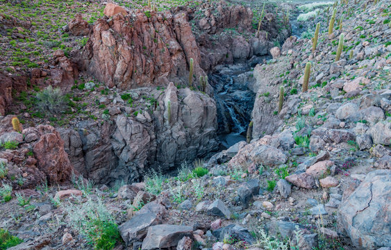 Guatin canyon with deep canyon and cactus