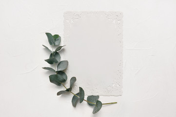 Mock up of Eucalyptus leaves and white sheet of paper with place for text on white background. Wreath made of eucalyptus branch. Flat lay, top view