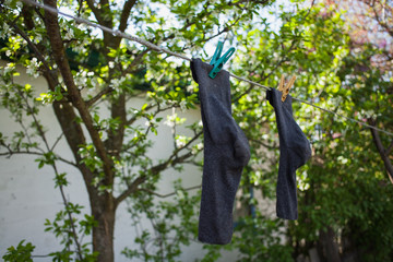 Two washed dark gray socks, fastened with clothespins, are dried in the fresh air on a clothesline, against a background of nature.