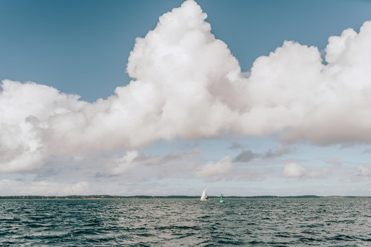paysage bassin d'arcachon