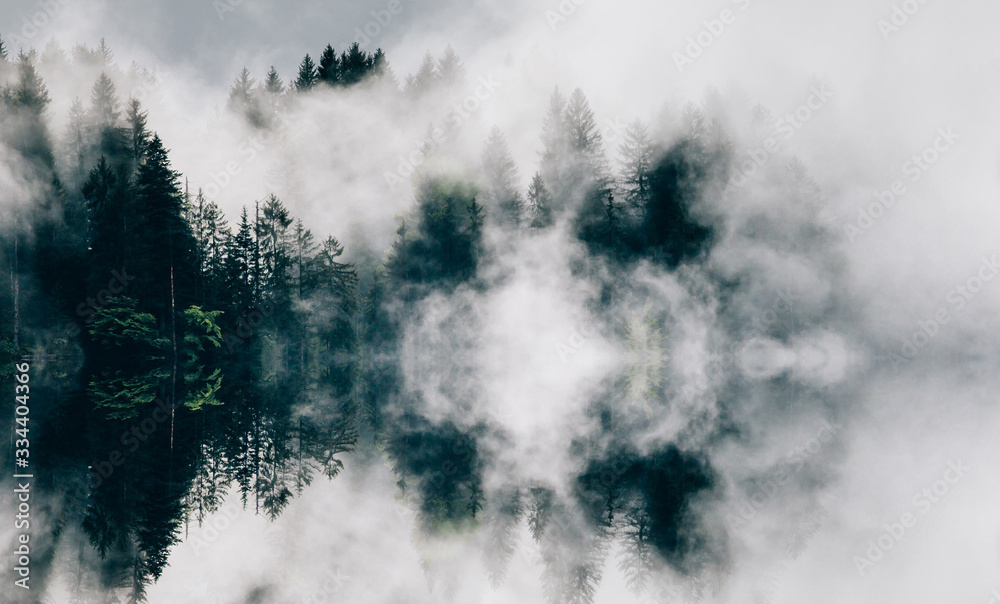 Wall mural abstract image with foggy forest that looks like sound-waves.