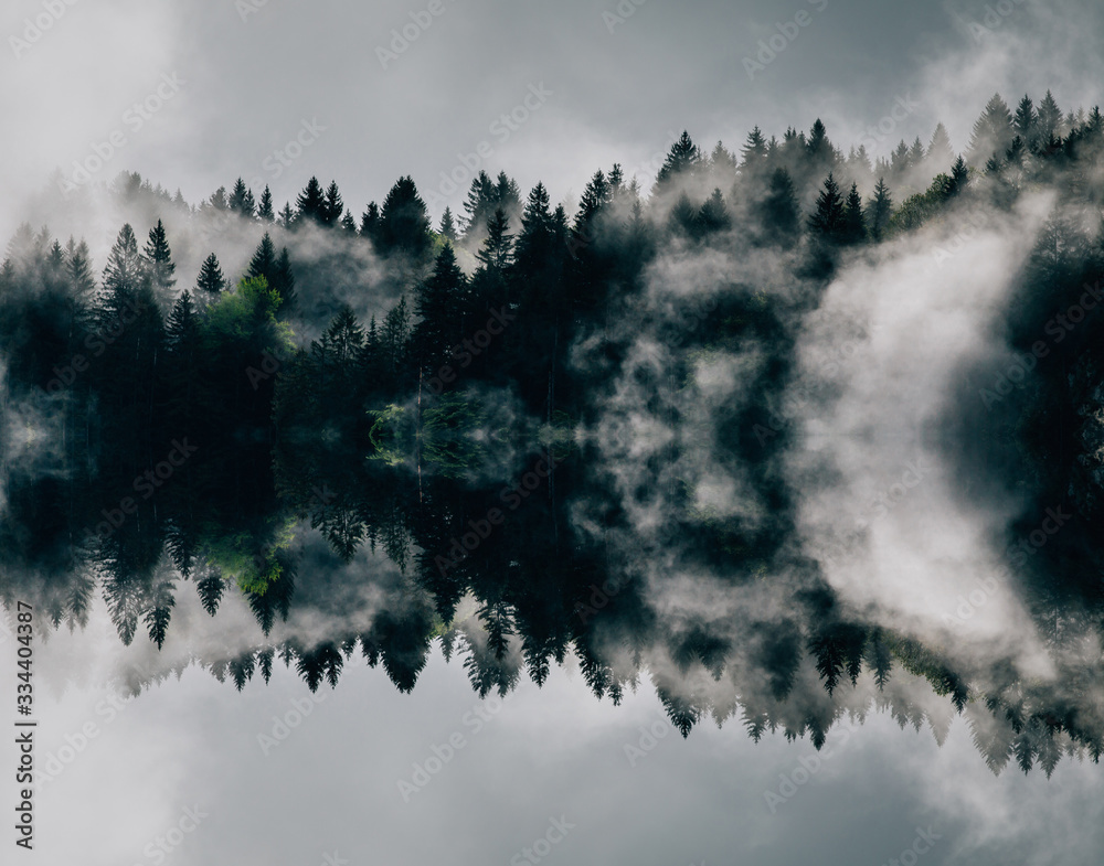 Wall mural abstract image with foggy forest that looks like sound-waves.