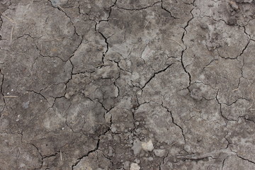 A photograph from above of cracked and dry soil/earth making patterns.  A drought or dry weather concept. 