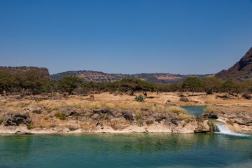 River Waterfall and pond in Wadi Darbat near Salalah