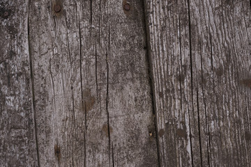 Naklejka premium Old wooden texured surface closeup. Moss and relief on surface. Stock photo of old wooden pattern of aged boards with moss. Brown and gray colors on photo.