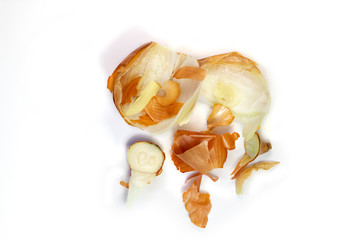 Food waste onion on a white background. Isolate. Top view. Flat lay. Waste for recycling. Responsible disposal of household food wastage in an environmentally friendly way by recycling.