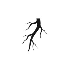 Root vector illustration template