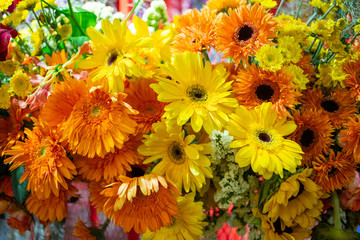 Soft pastel color tone of bouquet of chrysanthemum flowers