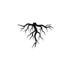 Root vector illustration template
