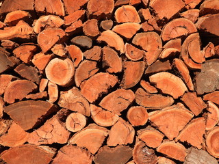 background of wood texture