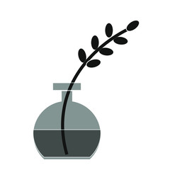 vase with twig on white background