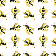 Seamless pattern with vasp on white background. Vector illustration in realistic style. Design for wrapping paper
