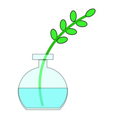 vase with twig on white background