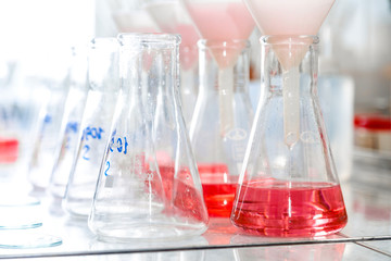 Test flasks with red liquid in laboratory