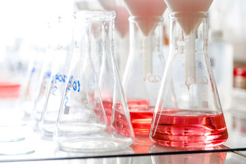 Test flasks with red liquid in laboratory