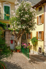 Fototapeta na wymiar Flowery streets of Limone, Lake Garda