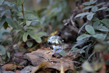 Bubble
