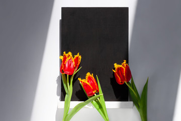 Black chalk board mockup with red tulip flowers with natural shadows background. Blackboard menu easel. Copy space text content price, sales adding. Blank template inscription.Education school display