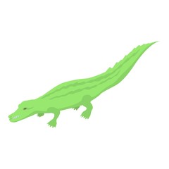 Zoo green crocodile icon. Isometric of zoo green crocodile vector icon for web design isolated on white background