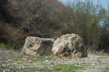 Open trees roots due to landslides, soil erosion, after road cut