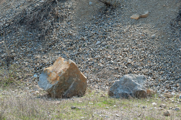 Open trees roots due to landslides, soil erosion, after road cut