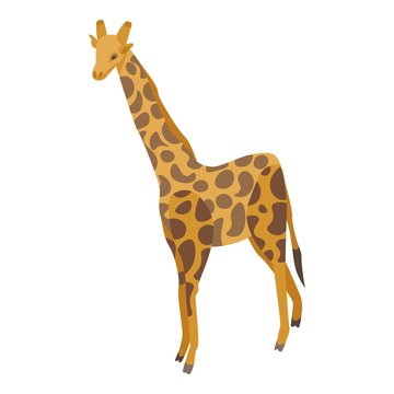 Zoo giraffe icon. Isometric of zoo giraffe vector icon for web design isolated on white background