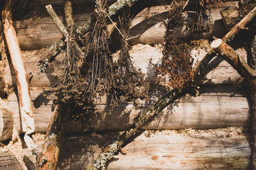 Dry flowers bouquet hanging on a wooden wall of the old forest house. Legend fairy tale ethnic pagan background. Sunny sunset photo in warm yellow colors hipster retro style processing