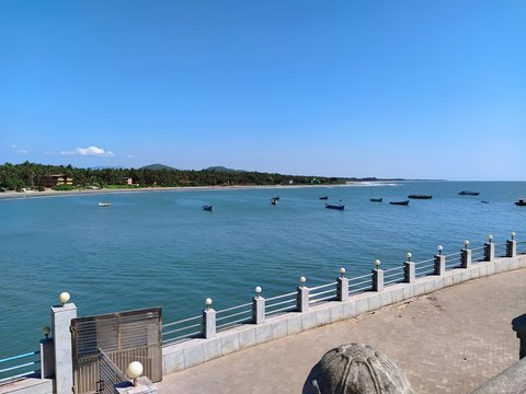mandrem beach goa india ,exotic, palm stock photos