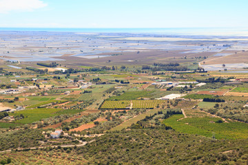 Fototapeta na wymiar Ebro delta, with flooded rice fields