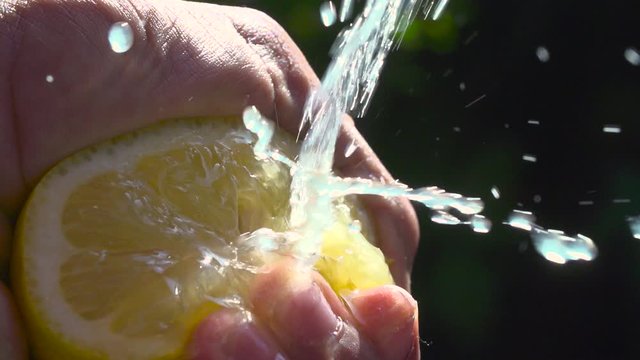 citron press&eacute; pour jus