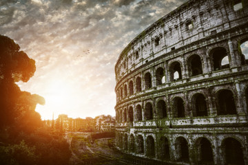 Weeds and green moss covering the Colosseum Rome