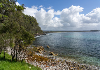 landscape with ocean