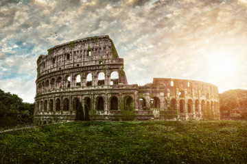 Fototapeta na wymiar Weeds and moss growing on the Colosseum, Rome