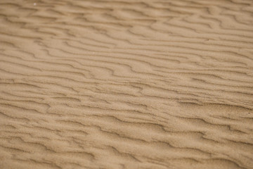 texture of sand