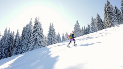 A woman ski touring in a snow-covered forest, backlit with a sun on a sunny day, Slovakia,