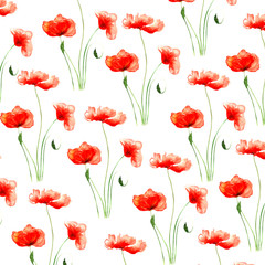 Fototapeta premium małe czerwone letnie maki z łodygami malowane akwarelą