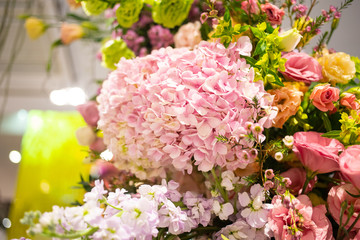 Beautiful blooming pink hydrangea bouquet in flower exhibition