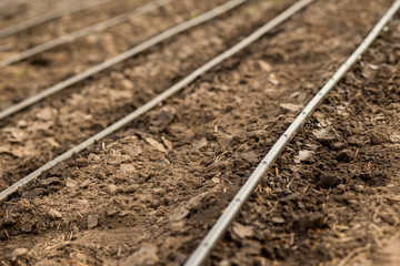 Use of drip irrigation in arid southern regions